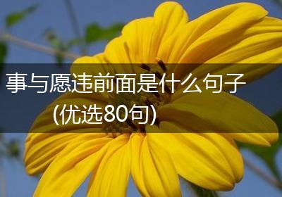 事与愿违前面是什么句子(优选80句)