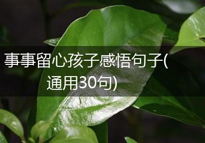 事事留心孩子感悟句子(通用30句)