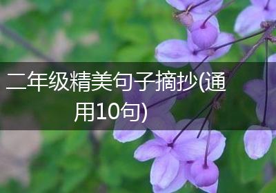 二年级精美句子摘抄(通用10句)