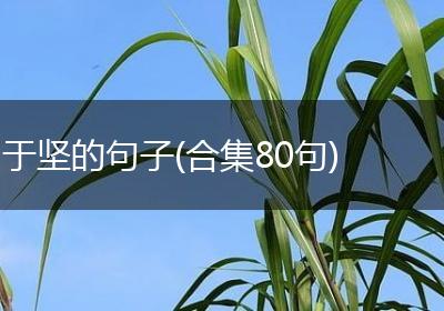 于坚的句子(合集80句)