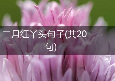 二月红丫头句子(共20句)