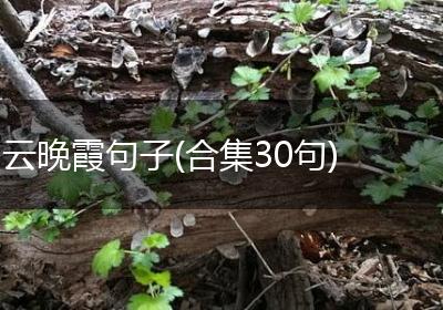 云晚霞句子(合集30句)