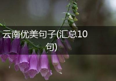 云南优美句子(汇总10句)