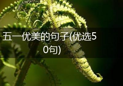 五一优美的句子(优选50句)