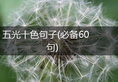 五光十色句子(必备60句)