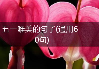 五一唯美的句子(通用60句)