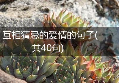 互相猜忌的爱情的句子(共40句)