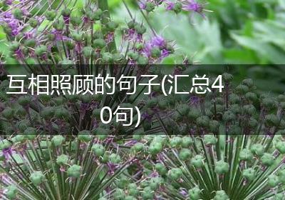 互相照顾的句子(汇总40句)