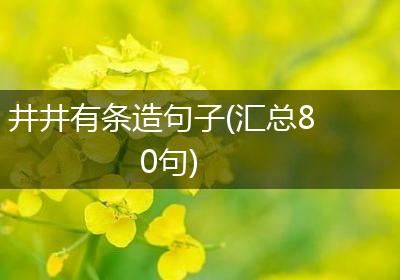 井井有条造句子(汇总80句)