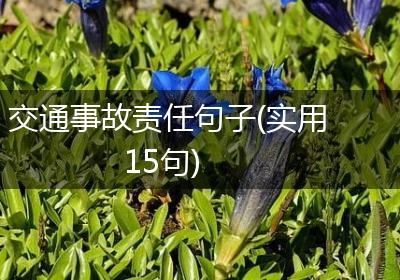 交通事故责任句子(实用15句)
