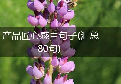产品匠心感言句子(汇总80句)
