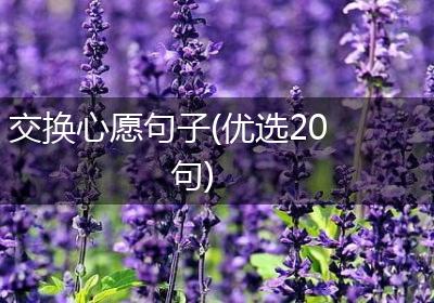 交换心愿句子(优选20句)