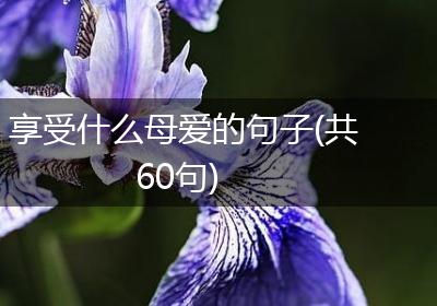 享受什么母爱的句子(共60句)