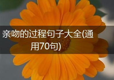 亲吻的过程句子大全(通用70句)