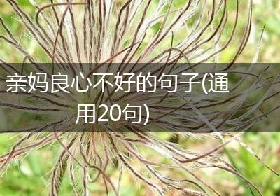 亲妈良心不好的句子(通用20句)