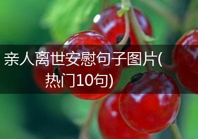 亲人离世安慰句子图片(热门10句)