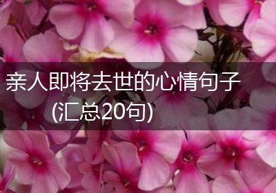 亲人即将去世的心情句子(汇总20句)