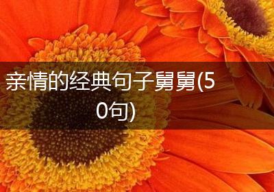 亲情的经典句子舅舅(50句)