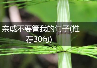 亲戚不要管我的句子(推荐30句)