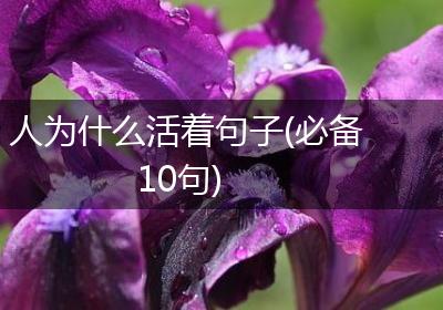 人为什么活着句子(必备10句)