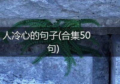 人冷心的句子(合集50句)