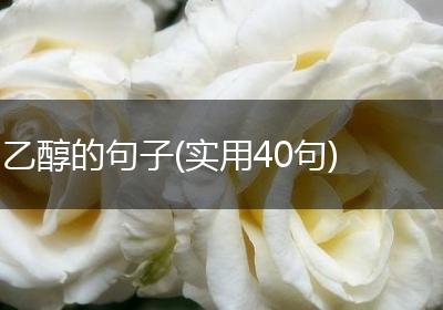 乙醇的句子(实用40句)