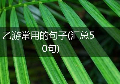 乙游常用的句子(汇总50句)