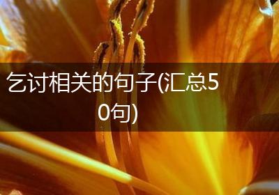 乞讨相关的句子(汇总50句)