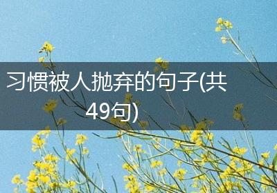 习惯被人抛弃的句子(共49句)
