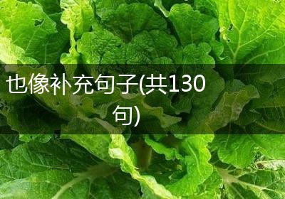 也像补充句子(共130句)