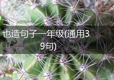 也造句子一年级(通用39句)