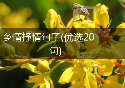 乡情抒情句子(优选20句)