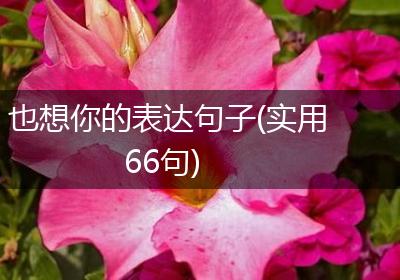 也想你的表达句子(实用66句)