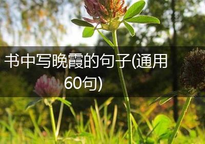 书中写晚霞的句子(通用60句)