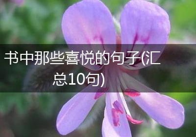 书中那些喜悦的句子(汇总10句)