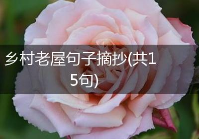 乡村老屋句子摘抄(共15句)