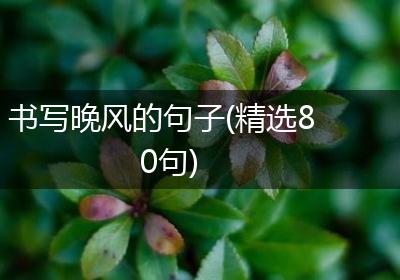 书写晚风的句子(精选80句)