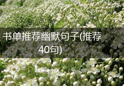 书单推荐幽默句子(推荐40句)