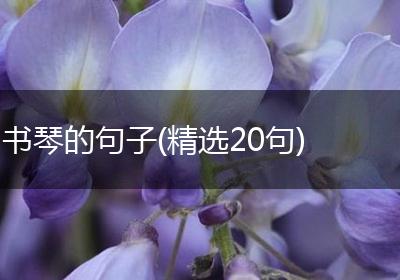 书琴的句子(精选20句)