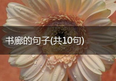 书廊的句子(共10句)