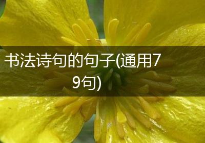 书法诗句的句子(通用79句)