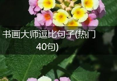 书画大师逗比句子(热门40句)