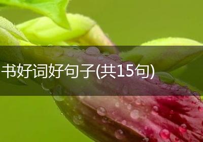 书好词好句子(共15句)