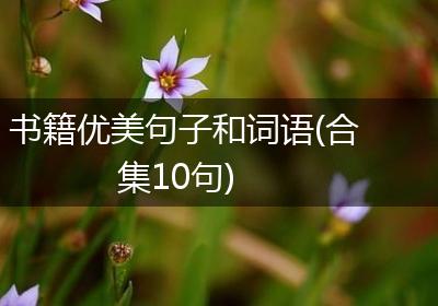 书籍优美句子和词语(合集10句)
