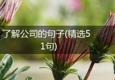 了解公司的句子(精选51句)