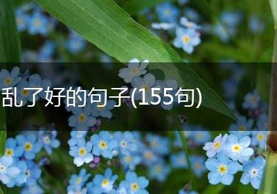 乱了好的句子(155句)