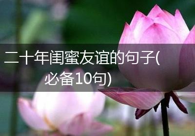 二十年闺蜜友谊的句子(必备10句)
