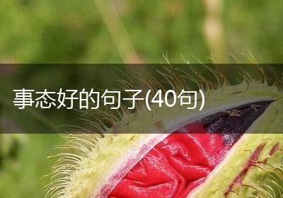 事态好的句子(40句)