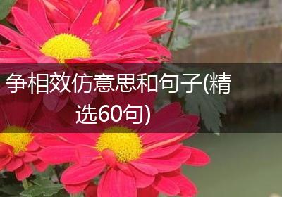 争相效仿意思和句子(精选60句)