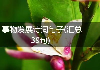 事物发展诗词句子(汇总39句)